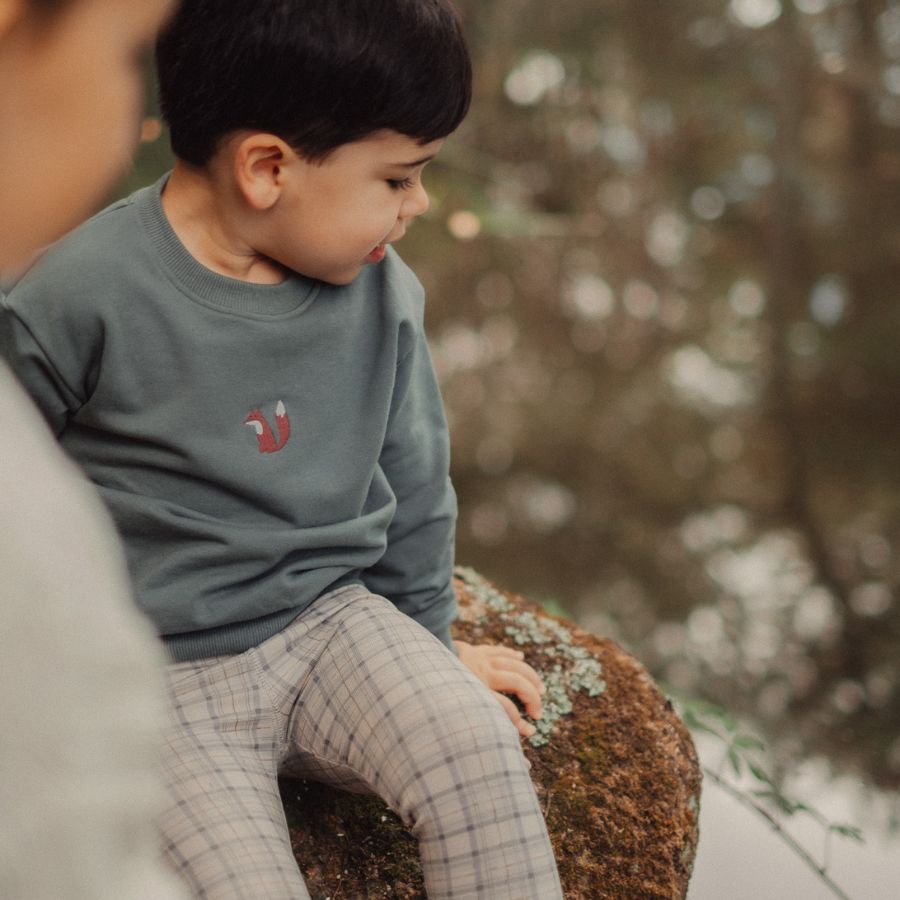 The Embroidered Sweatshirt - Fox