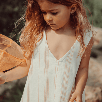 The Denim Dress - Rose Stripe