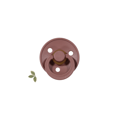 The Bibs Pacifier