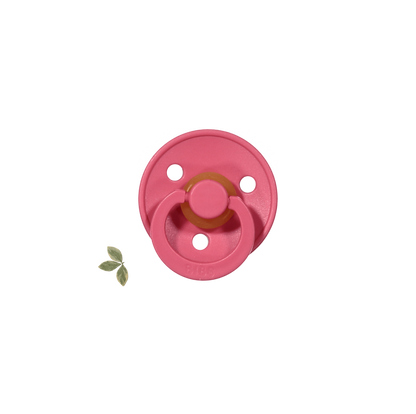 The Bibs Pacifier
