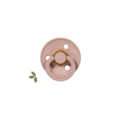 The Bibs Pacifier