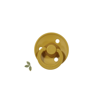 The Bibs Pacifier