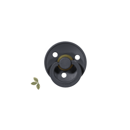 The Bibs Pacifier