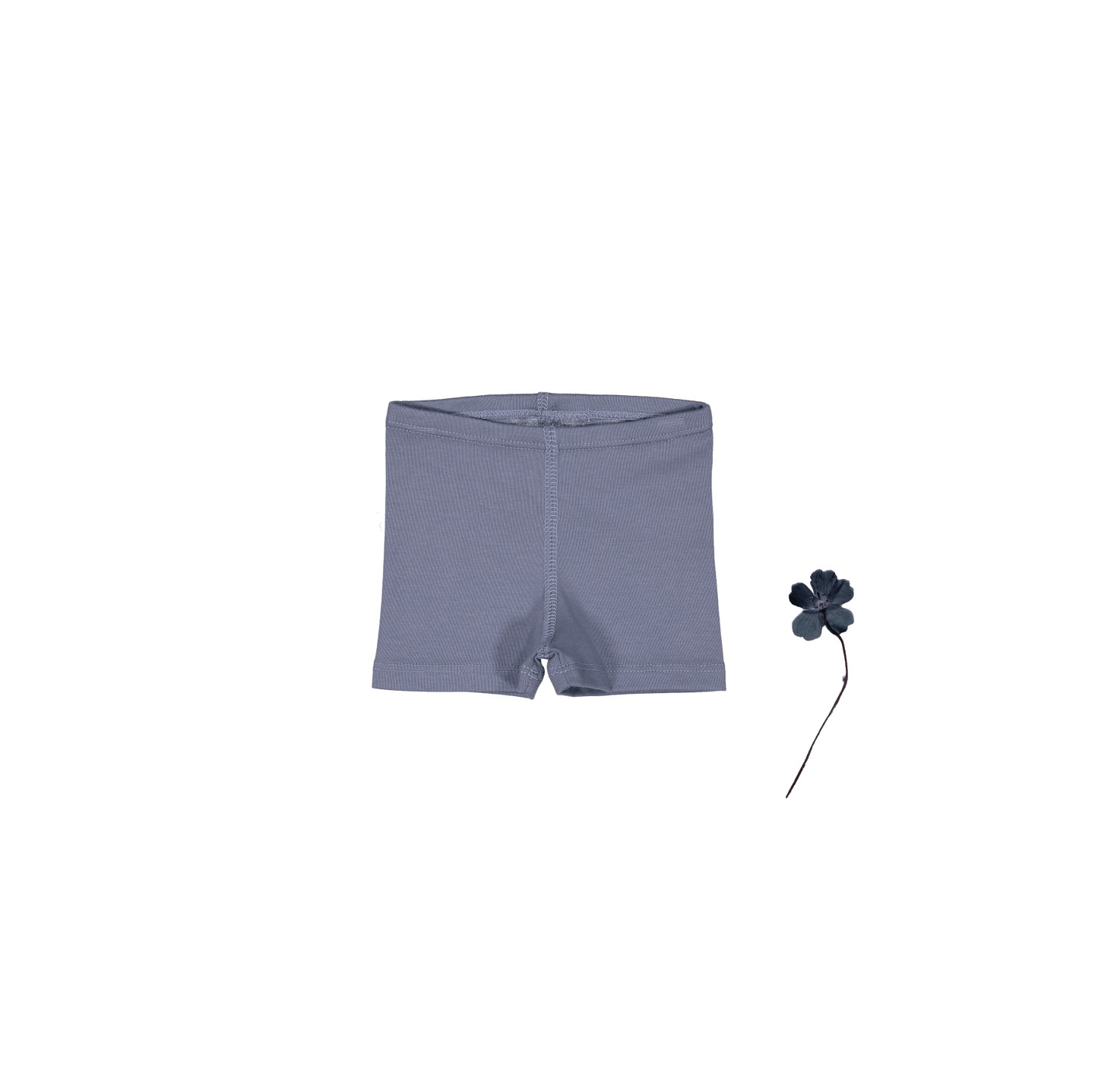 The Short - Midnight