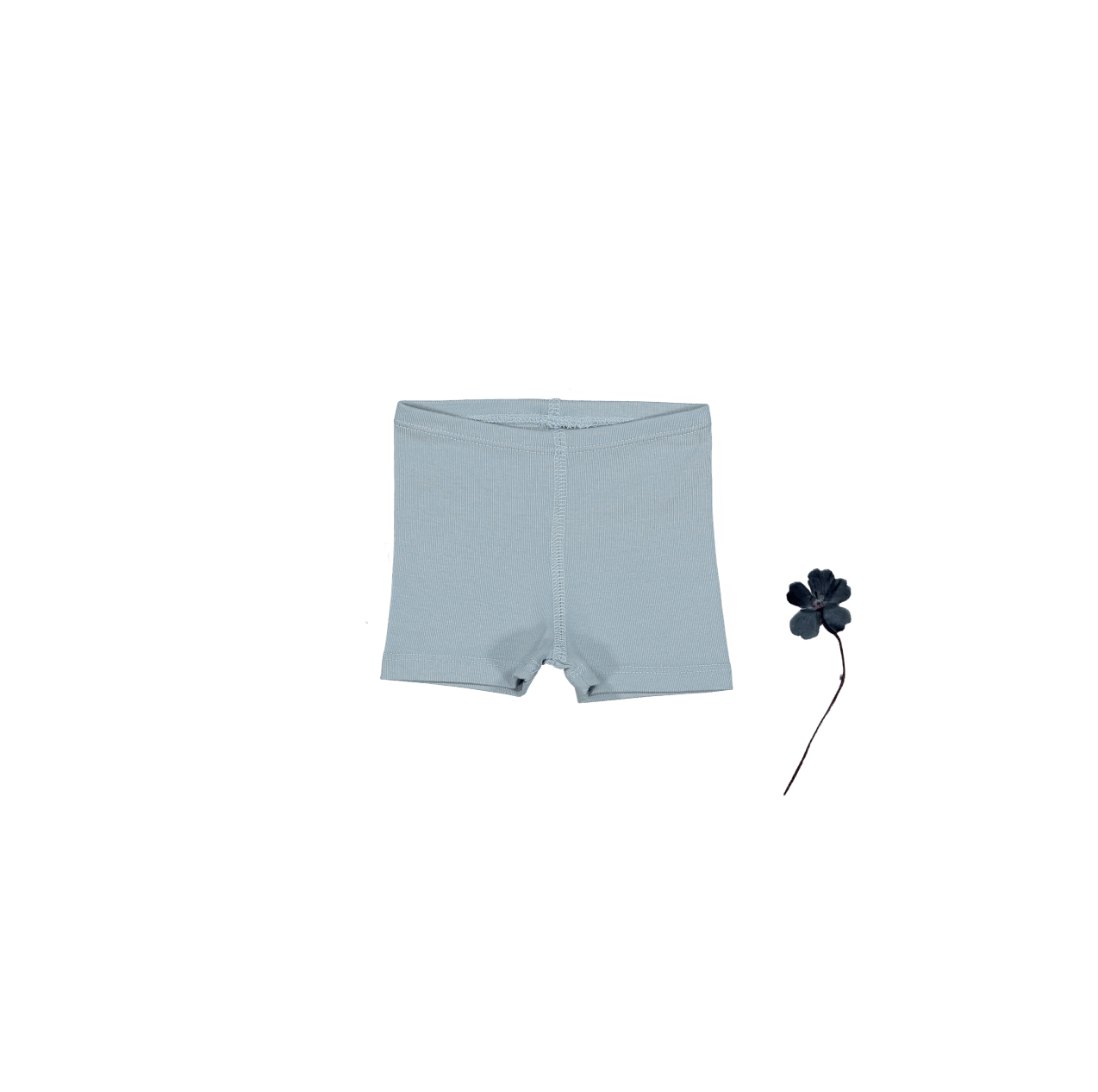 The Short - Ocean