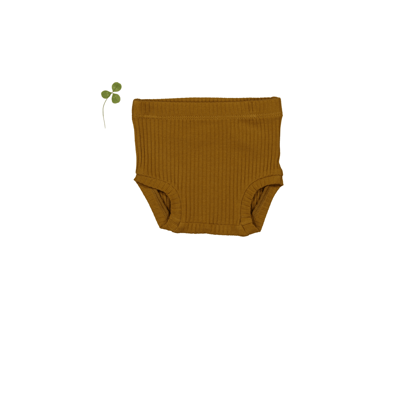 The Bloomer - Cider
