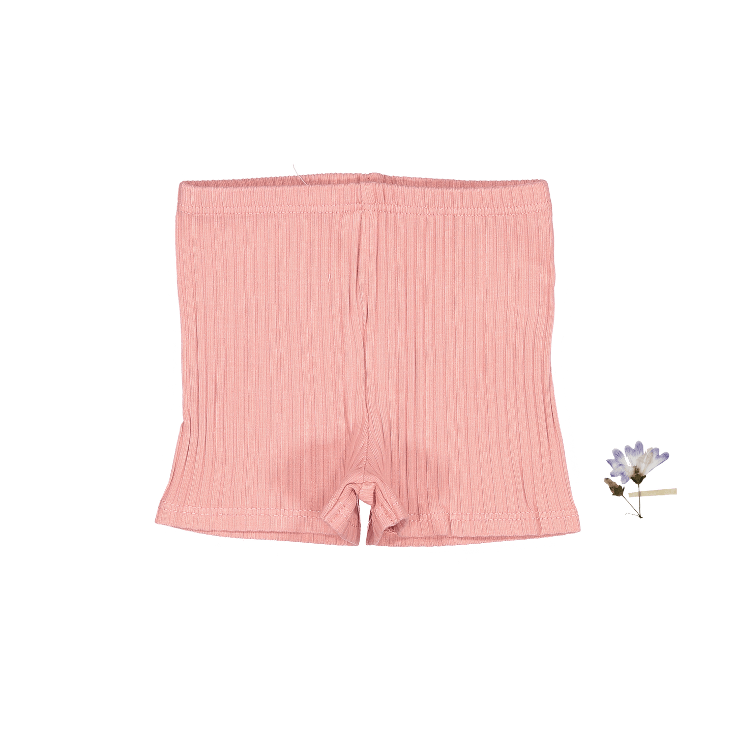 The Short - Rose