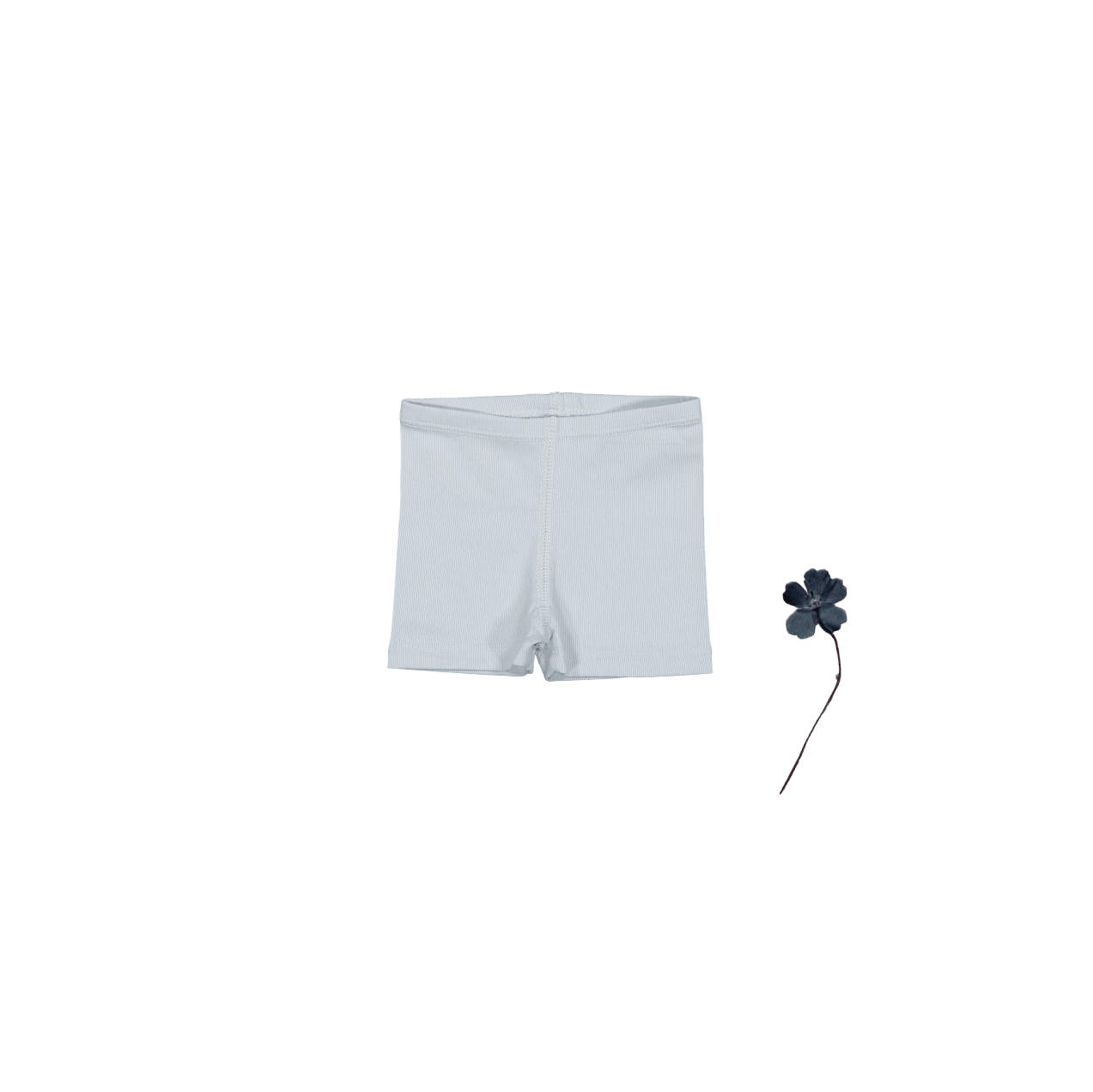 The Short - Sky